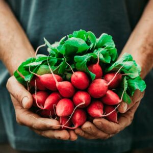 Agricoltura e Giardinaggio